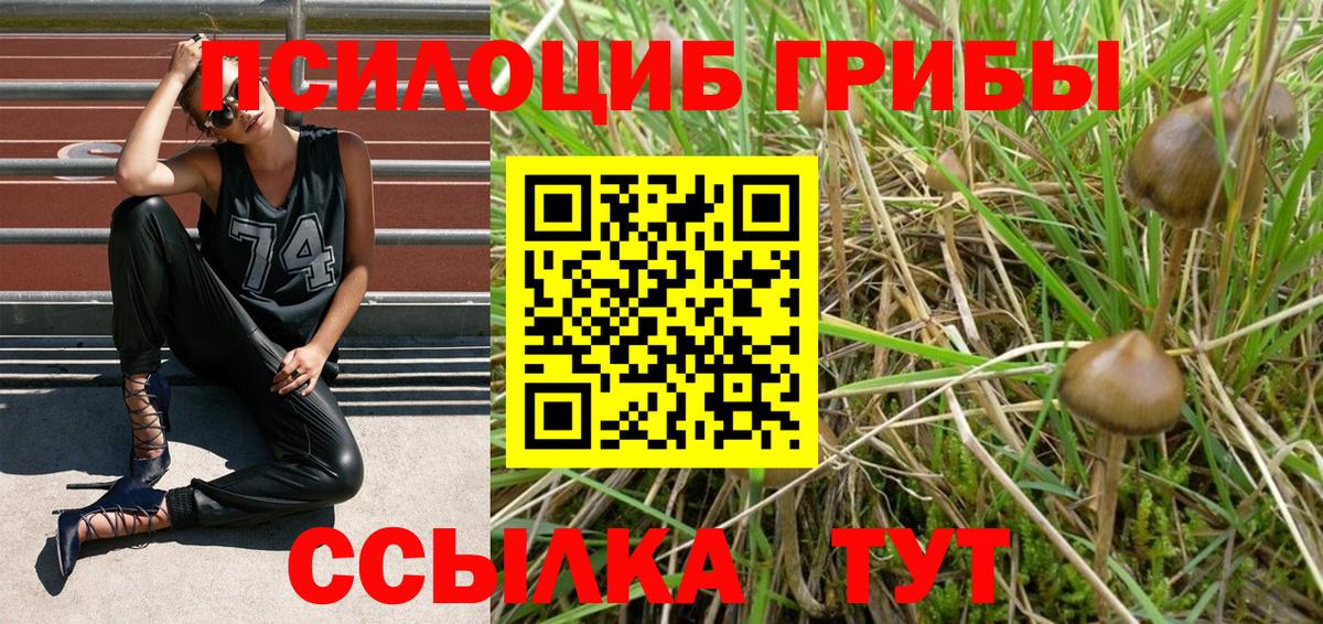 Саратов  Псилоцибиновые грибы Magic Shrooms  Вход с VPN 